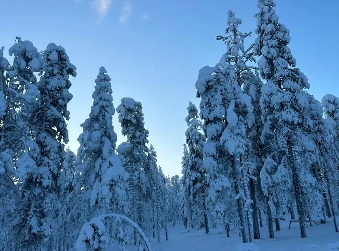 Aurora Sky レヴィ